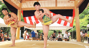 住吉神社  赤ちゃんの土俵入り